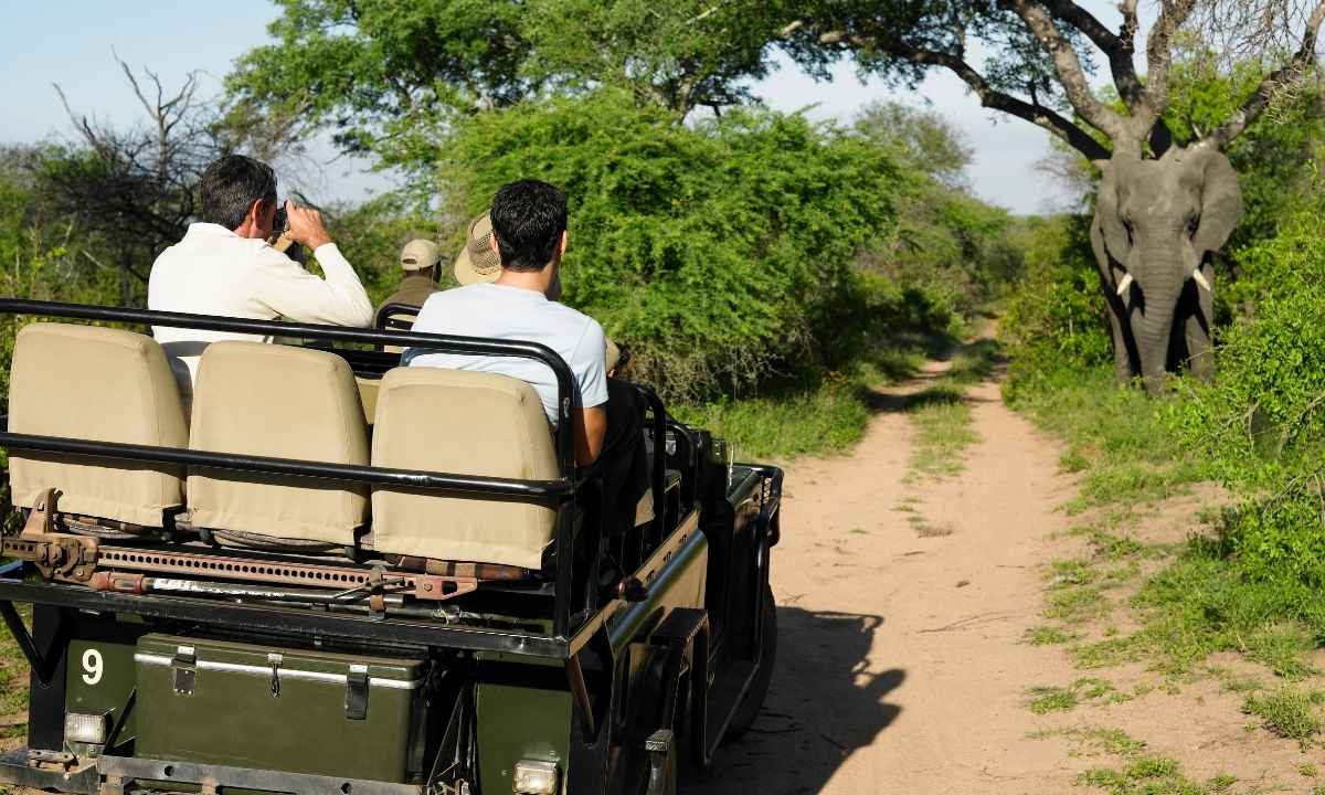 Jeep Safari Rajaji National Park - Adventure Tourism Uttarakhand
